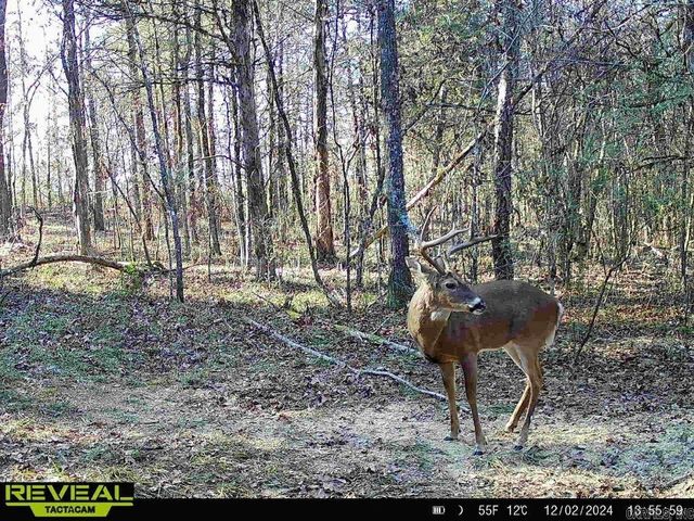 60 Barbara's Trail, Hattieville, AR 72063