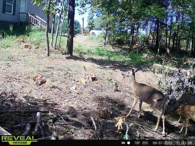 60 Barbara's Trail, Hattieville, AR 72063