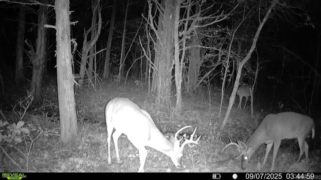 60 Barbara's Trail, Hattieville, AR 72063