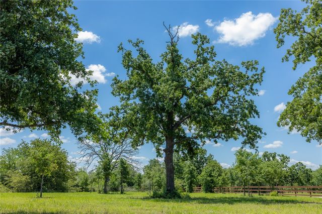 6724 Atakapan Trail, Bedias, TX 77831