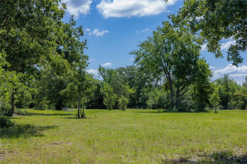 6724 Atakapan Trail, Bedias, TX 77831 — photo 2