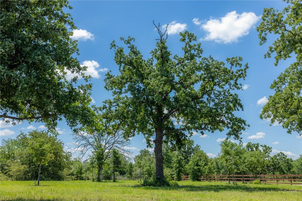 6724 Atakapan Trail, Bedias, TX 77831 — photo 3