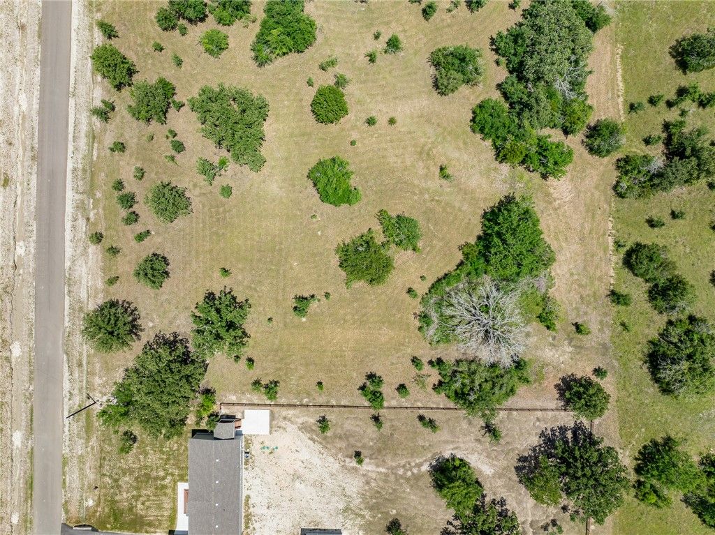 6724 Atakapan Trail, Bedias, TX 77831 — photo 5
