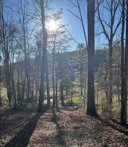 1522 Turkey Creek Road, Tellico Plains, TN 37385