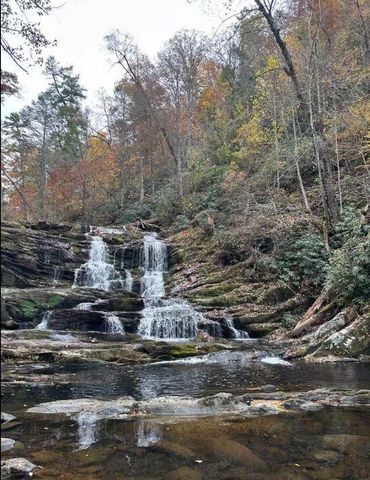 1522 Turkey Creek Road, Tellico Plains, TN 37385