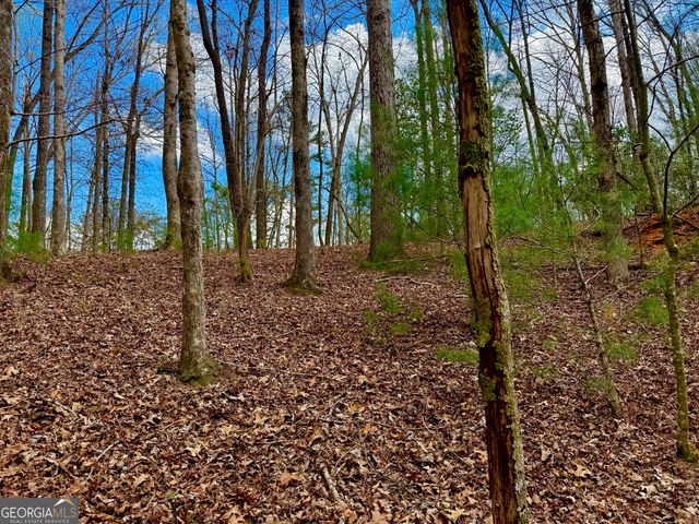 739 Hiawassee Court, Ellijay, GA 30540