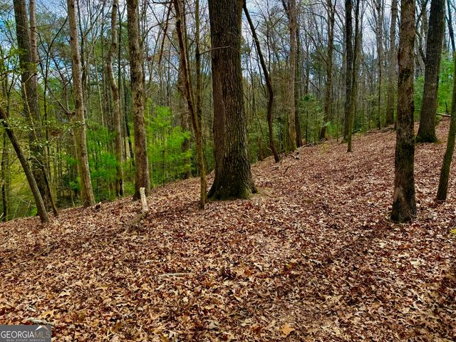 739 Hiawassee Court, Ellijay, GA 30540