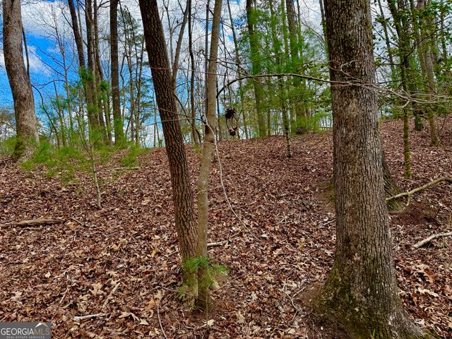 739 Hiawassee Court, Ellijay, GA 30540