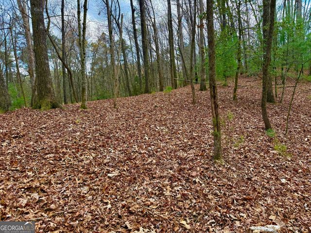 739 Hiawassee Court, Ellijay, GA 30540