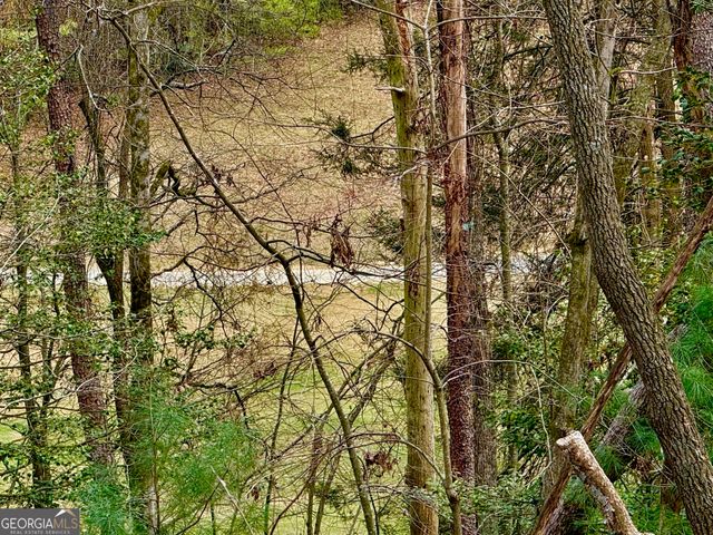 739 Hiawassee Court, Ellijay, GA 30540