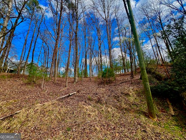 739 Hiawassee Court, Ellijay, GA 30540