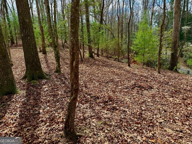 739 Hiawassee Court, Ellijay, GA 30540