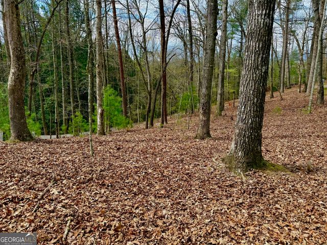 739 Hiawassee Court, Ellijay, GA 30540
