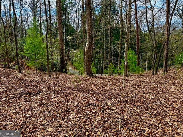 739 Hiawassee Court, Ellijay, GA 30540