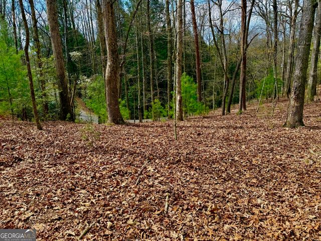 739 Hiawassee Court, Ellijay, GA 30540