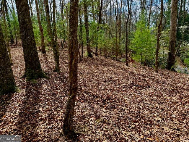 739 Hiawassee Court, Ellijay, GA 30540