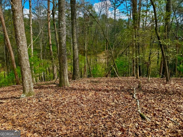 739 Hiawassee Court, Ellijay, GA 30540