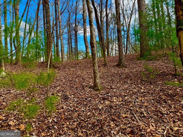 739 Hiawassee Court, Ellijay, GA 30540