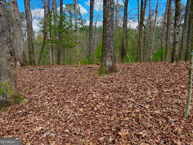 739 Hiawassee Court, Ellijay, GA 30540