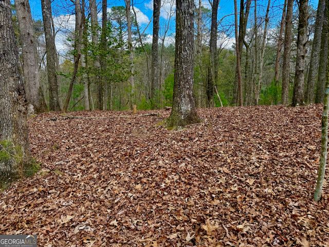 739 Hiawassee Court, Ellijay, GA 30540