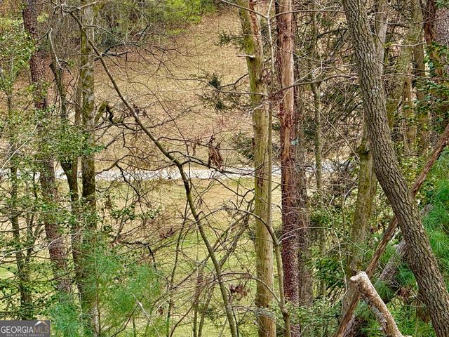 739 Hiawassee Court, Ellijay, GA 30540