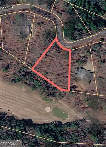 739 Hiawassee Court, Ellijay, GA 30540