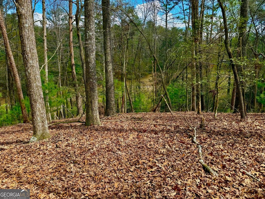 739 Hiawassee Court, Ellijay, GA 30540