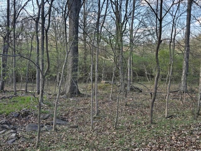 12 Locktown School Rd, Delaware Twp., NJ 08822