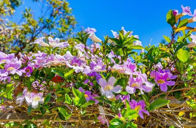 4335 Coronado Avenue, San Diego, CA 92107