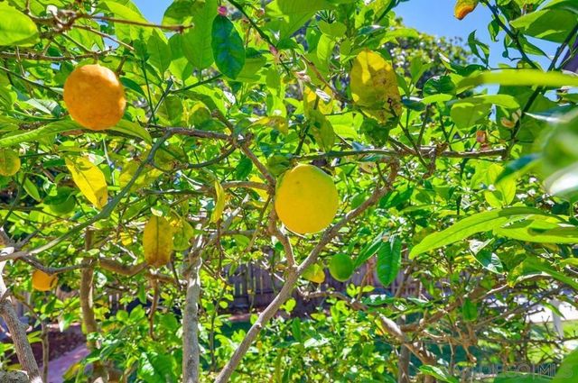 4335 Coronado Avenue, San Diego, CA 92107