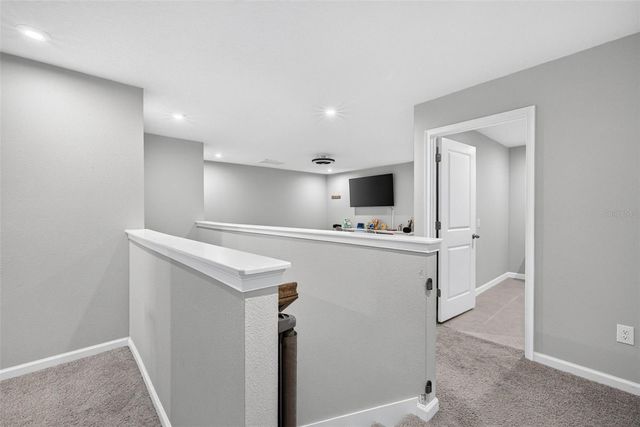 4116 CLOUD HOPPER WAY, Lutz, FL 33559
