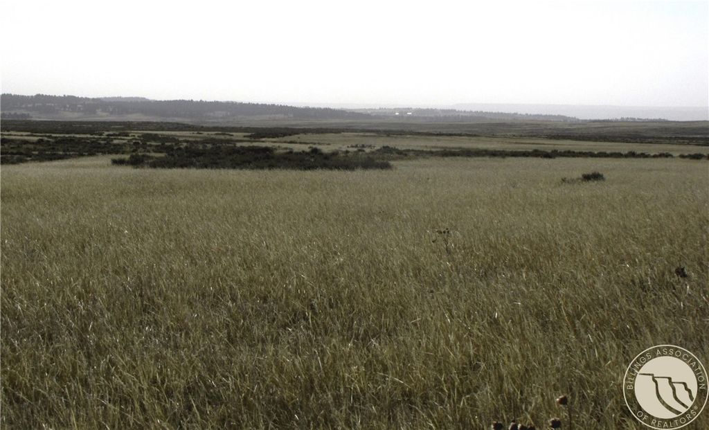 NHN Lindstrom ROAD, Shepherd, MT 59079 photo 11