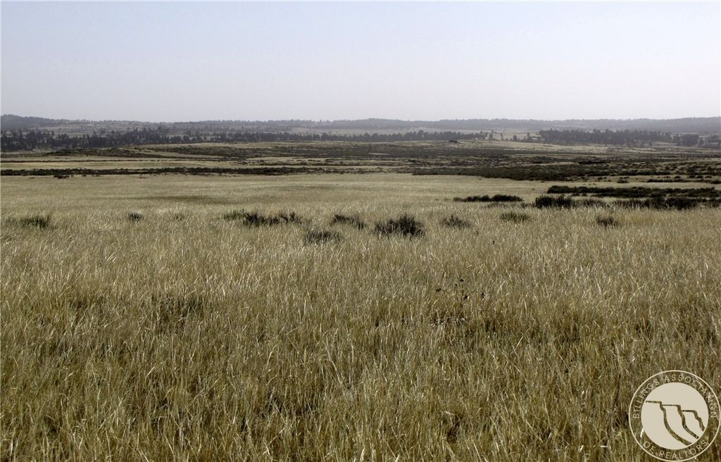 NHN Lindstrom ROAD, Shepherd, MT 59079 photo 5