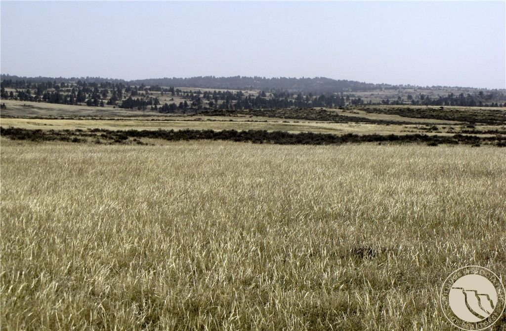 NHN Lindstrom ROAD, Shepherd, MT 59079 photo 6