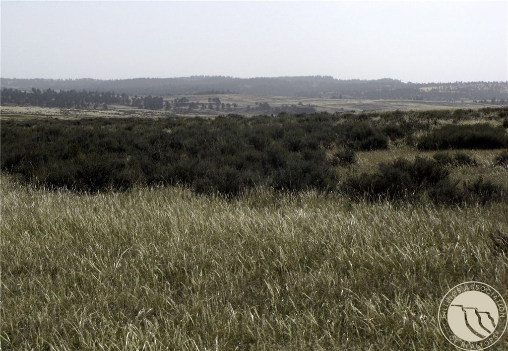 NHN Lindstrom ROAD, Shepherd, MT 59079 photo 7