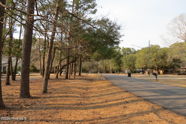 135 Wilson Circle, Arapahoe, NC 28510