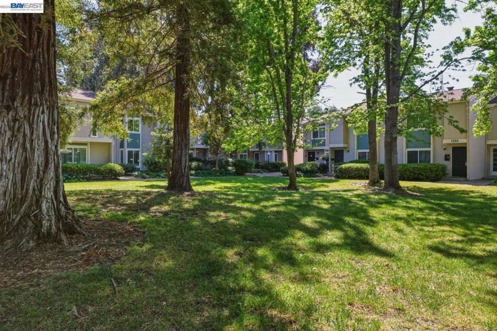 Image 25 of property listing at 1245 Pine Creek Way I, Concord, CA 94520
