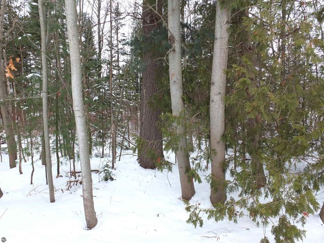 639 Hawthorne Lane, Traverse City, MI 49686