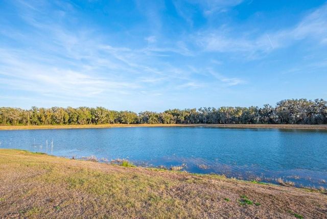 14604 HORSE TROT ROAD, Lithia, FL 33547