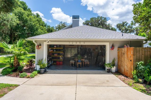 12854 NE 118TH TERRACE, Ocklawaha, FL 32179