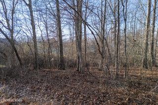 Lot 1736 Satsuma Drive, Crossville, TN 38555
