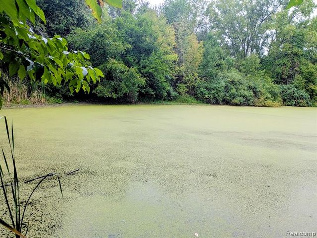4050 Hunters Creek Road, Metamora, MI 48455