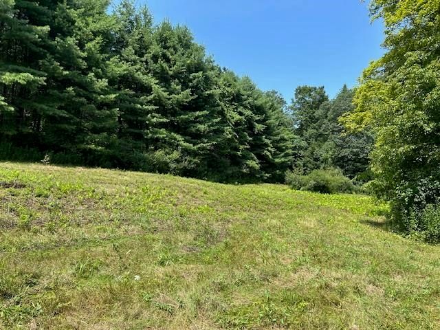 85 Browns Road, Newfane, VT 05345