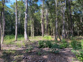 51 Mary Smalls Rd, St Helena Island, SC 29920