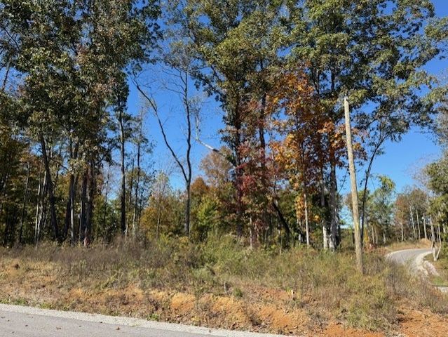 9599 Medlin Rd, Baxter, TN 38544