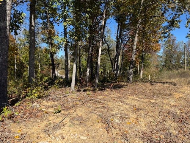 9599 Medlin Rd, Baxter, TN 38544