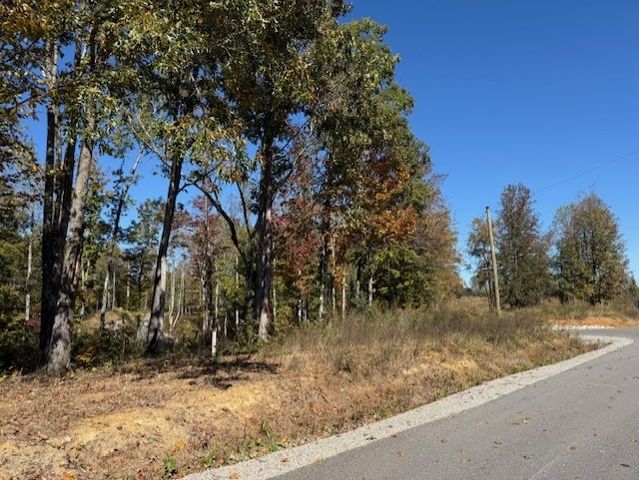 9599 Medlin Rd, Baxter, TN 38544