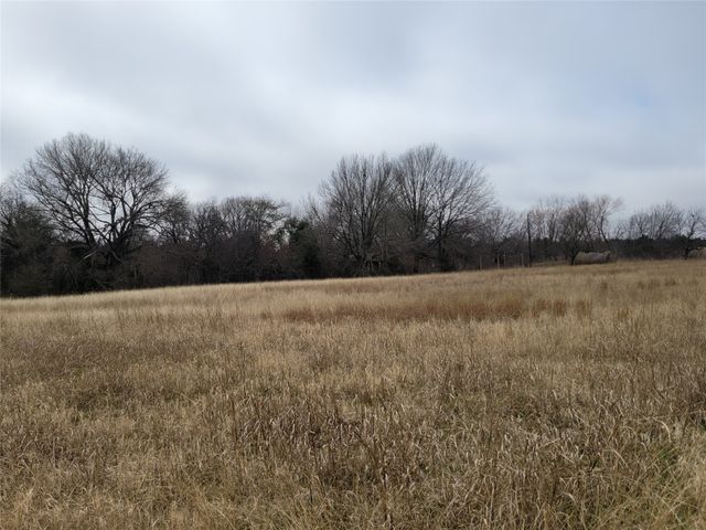 2232 County Road 415, Coyote Flats, TX 76031