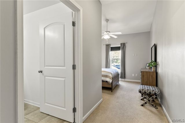 801 16th 3C, Tuscaloosa, AL 35401