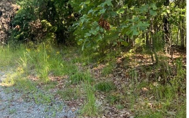LT61&62 Honeysuckle Way, Ellijay, GA 30540